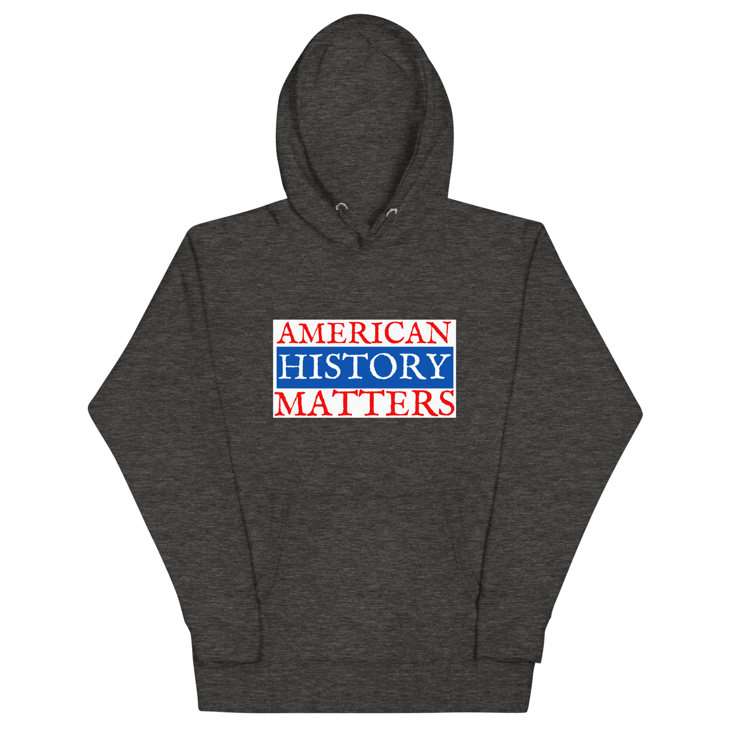 AMERICAN HISTORY MATTERS HOODIE