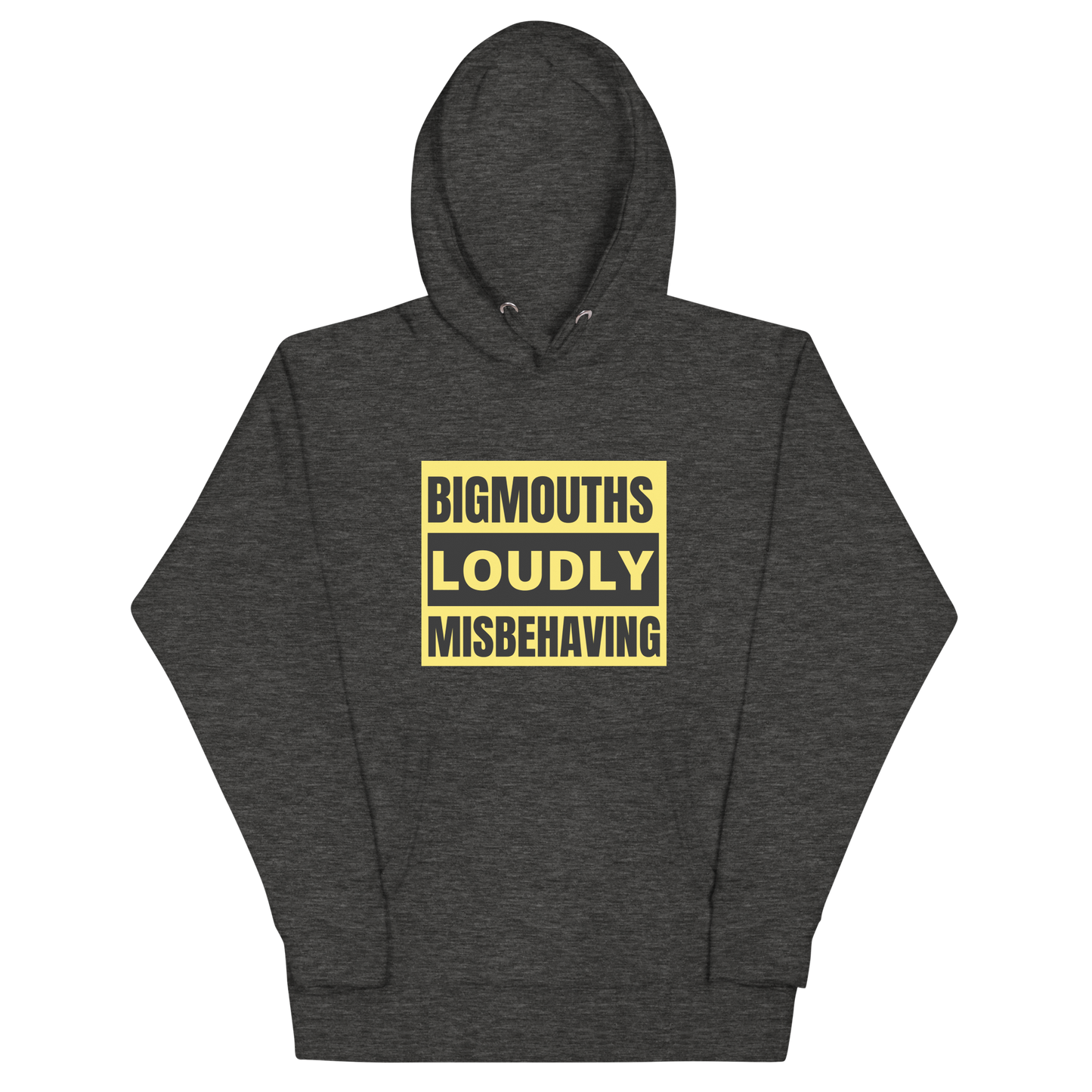 BIGMOUTHS LOUDLY MISBEHAVING HOODIE