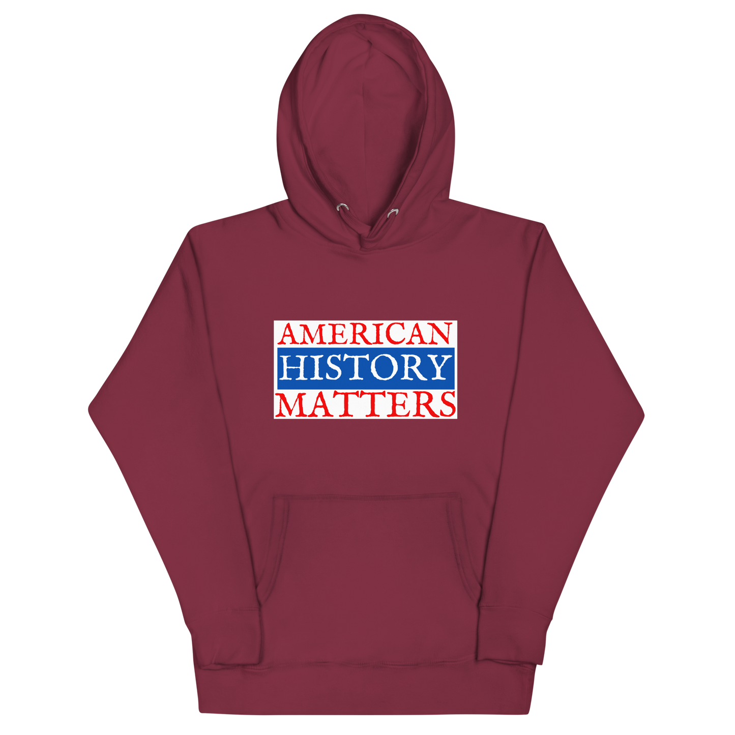 AMERICAN HISTORY MATTERS HOODIE