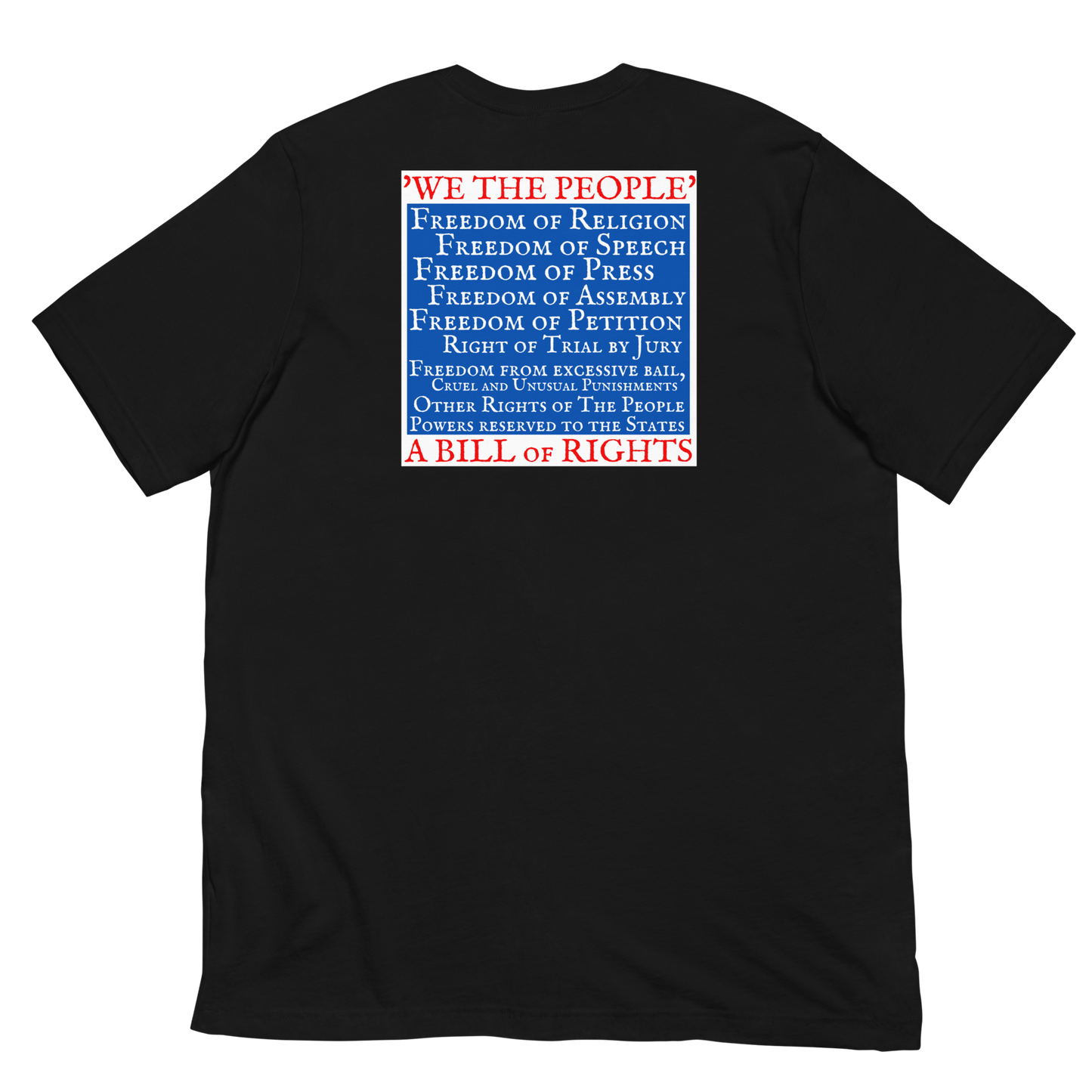 AMERICAN HISTORY MATTERS/BILL OF RIGHTS