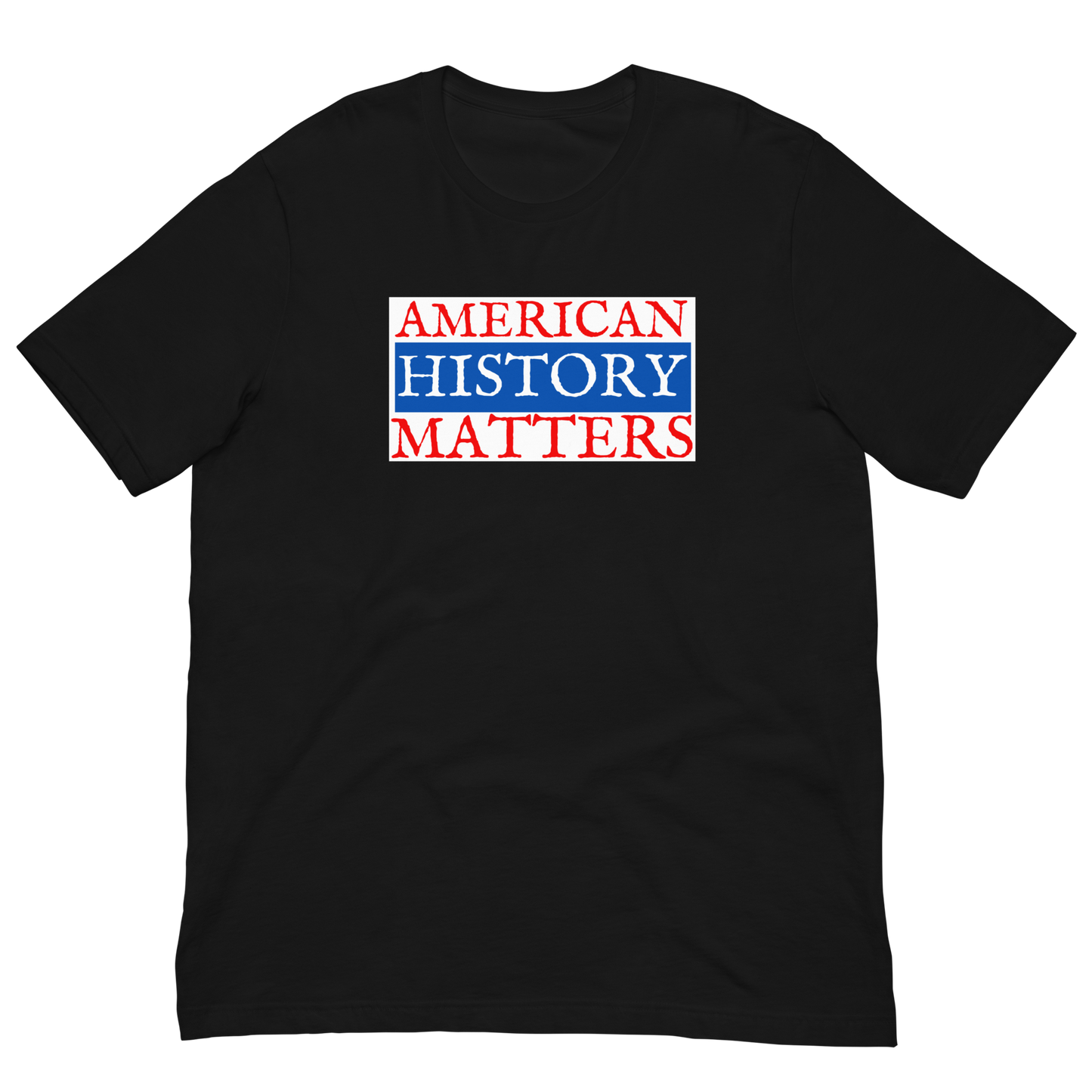AMERICAN HISTORY MATTERS/BILL OF RIGHTS