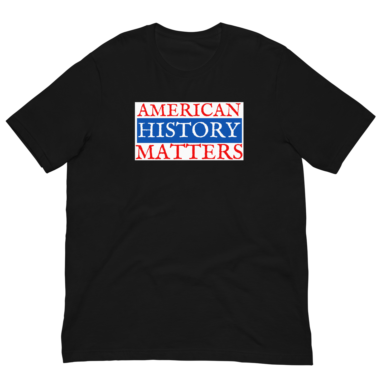 AMERICAN HISTORY MATTERS
