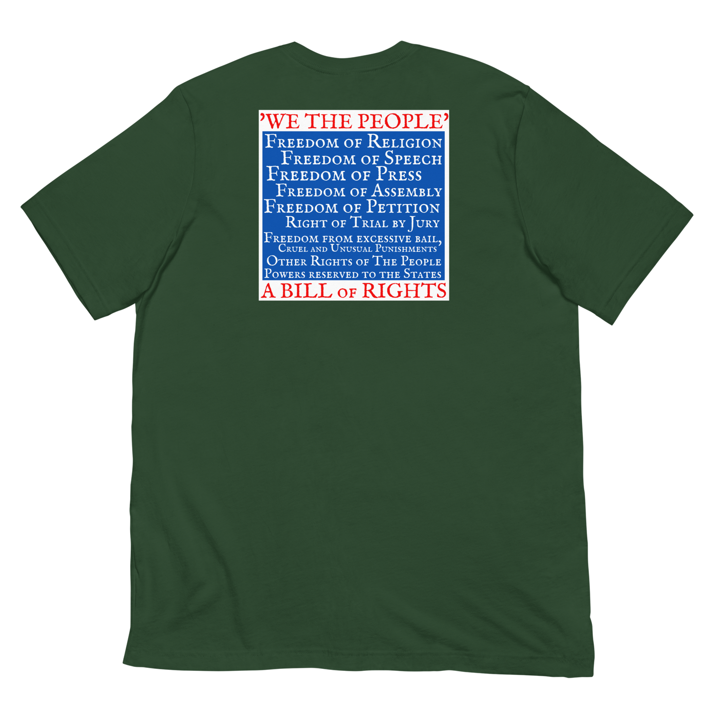 AMERICAN HISTORY MATTERS/BILL OF RIGHTS