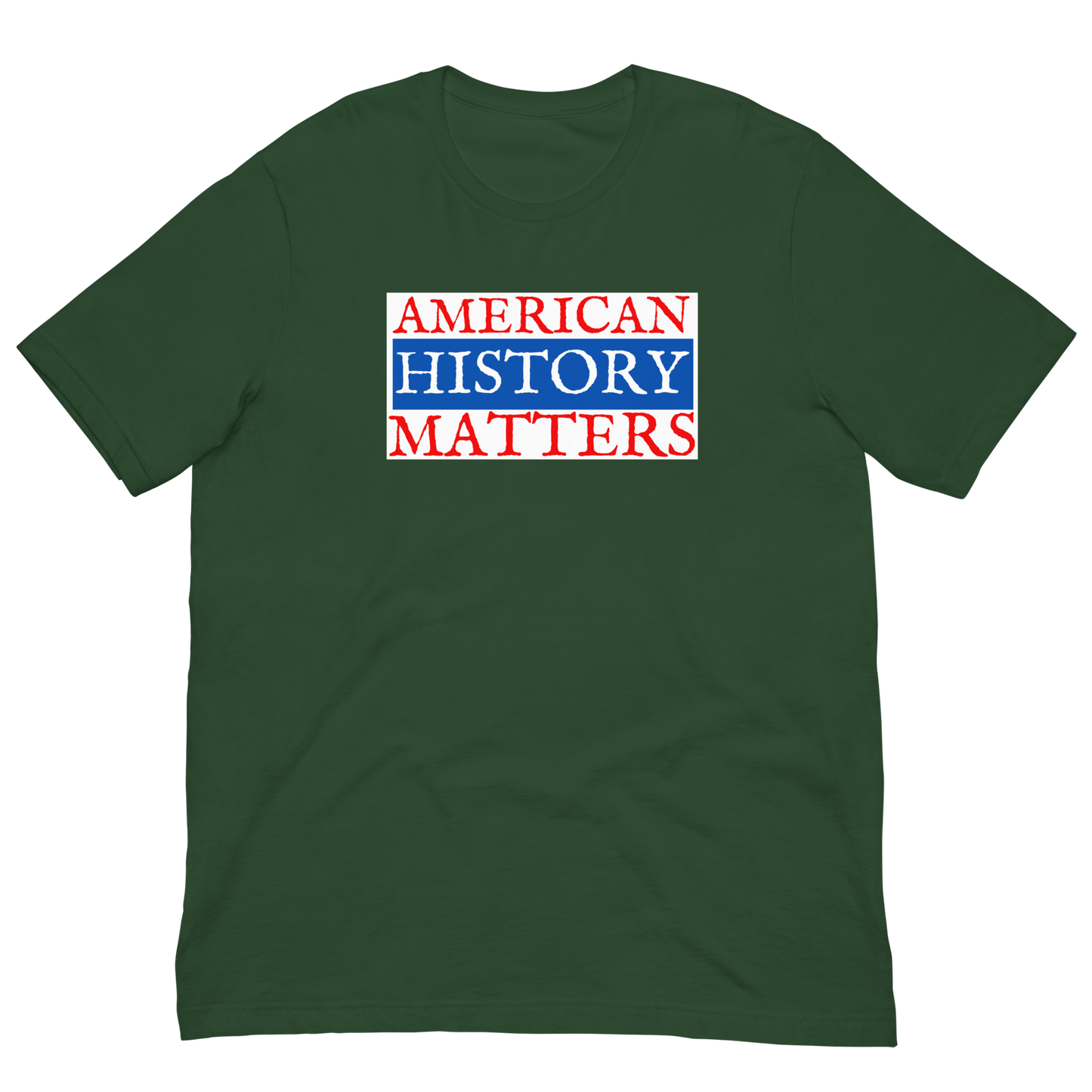 AMERICAN HISTORY MATTERS