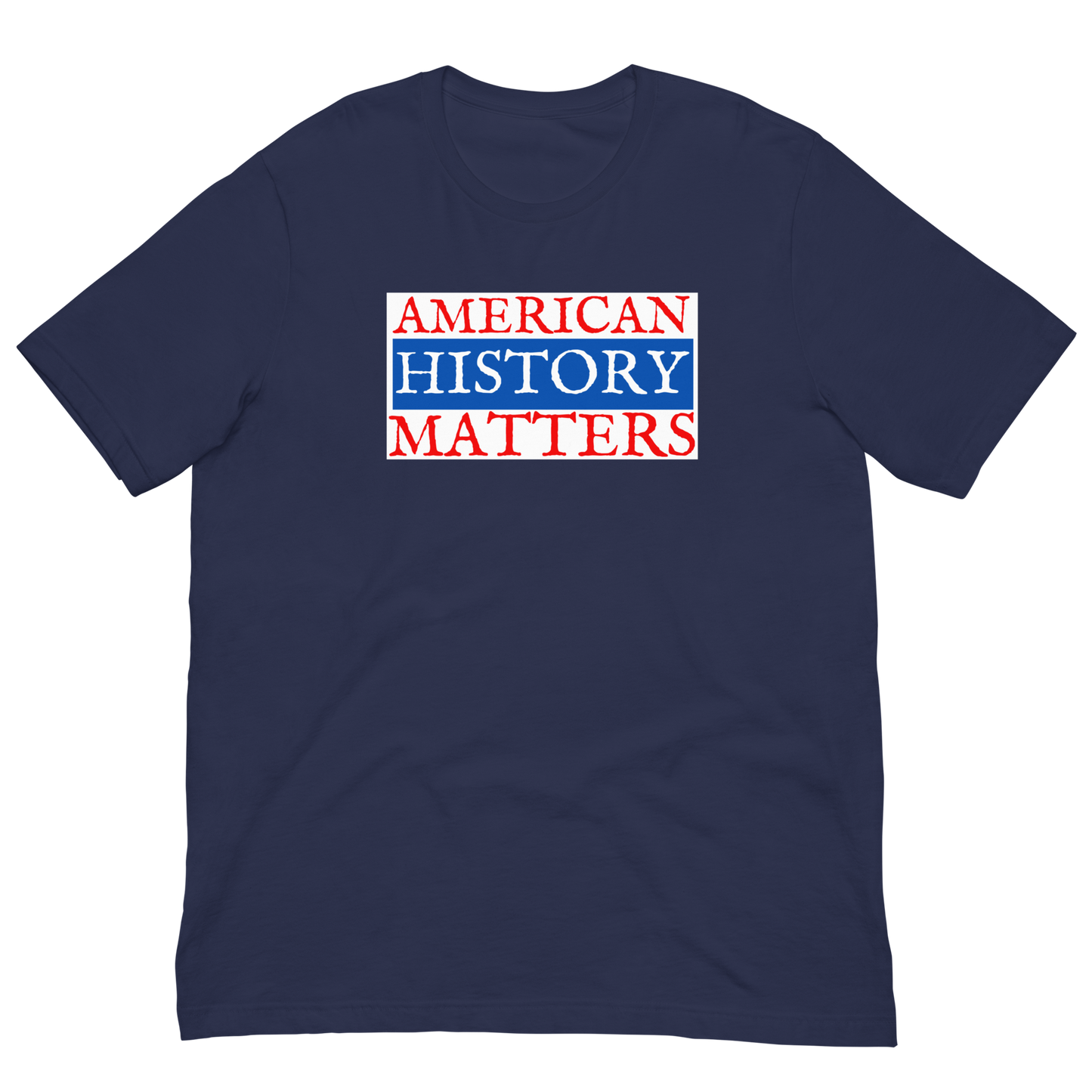 AMERICAN HISTORY MATTERS