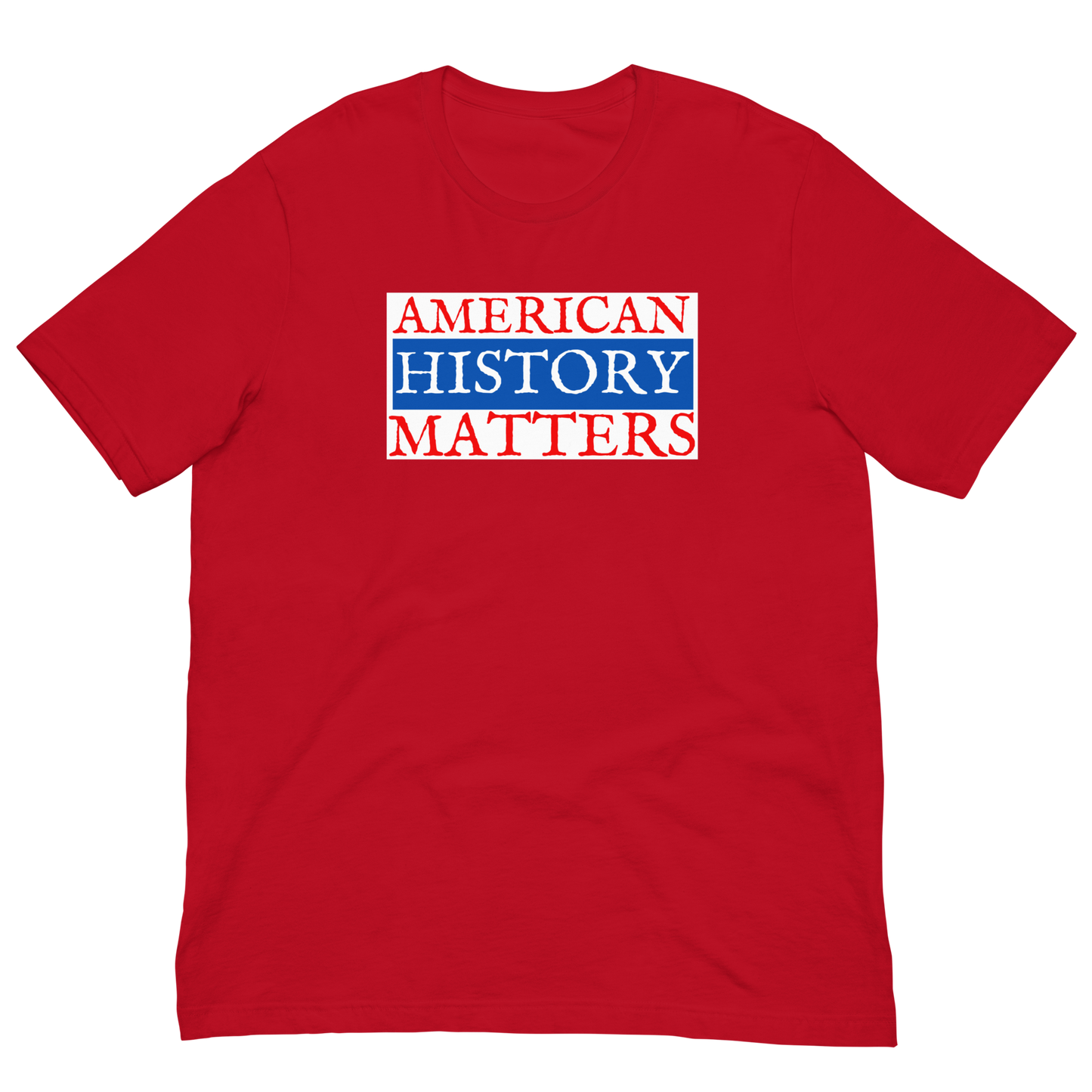 AMERICAN HISTORY MATTERS